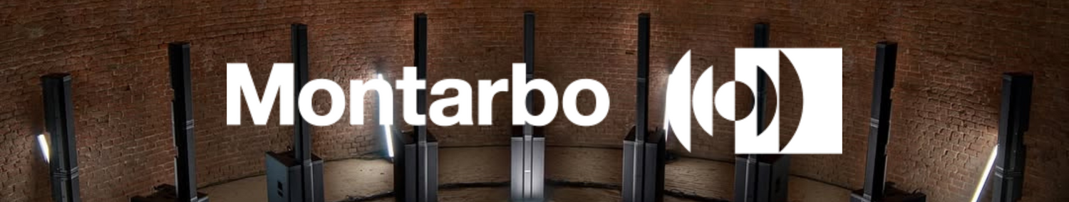 Why Montarbo Speakers Are Perfect for Small Venues