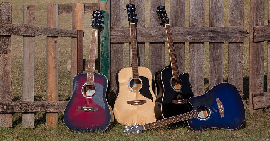 Ranger Series — Eko Guitars